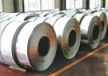 廣東南方鋼板集團_世界工廠網(wǎng)全球企業(yè)庫